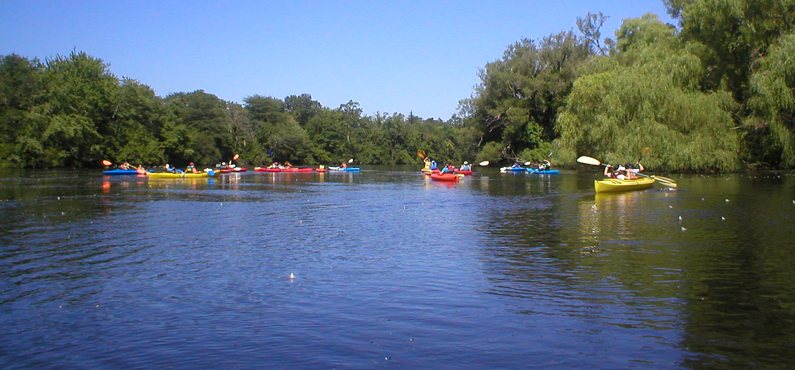 long island canoe kayak rentals